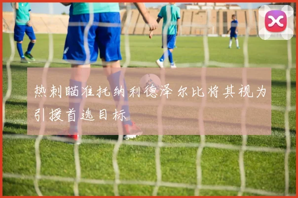 热刺瞄准托纳利德泽尔比将其视为引援首选目标
